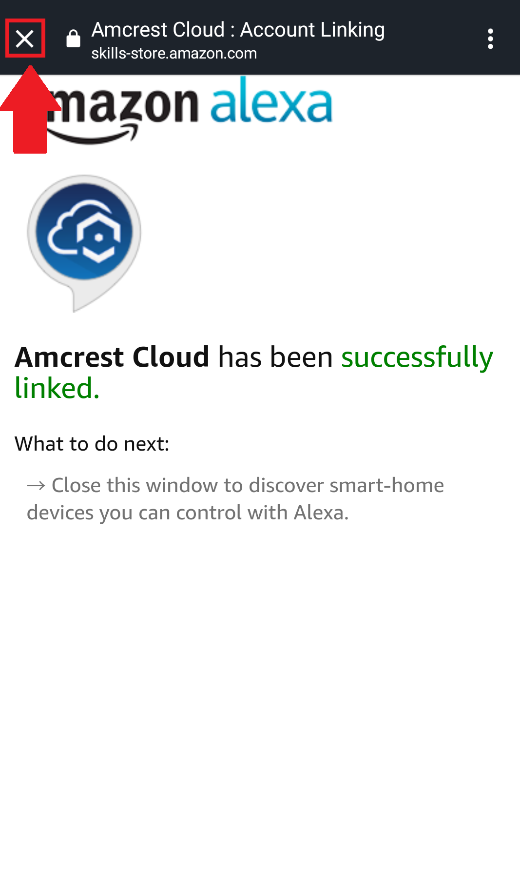 amcrest alexa