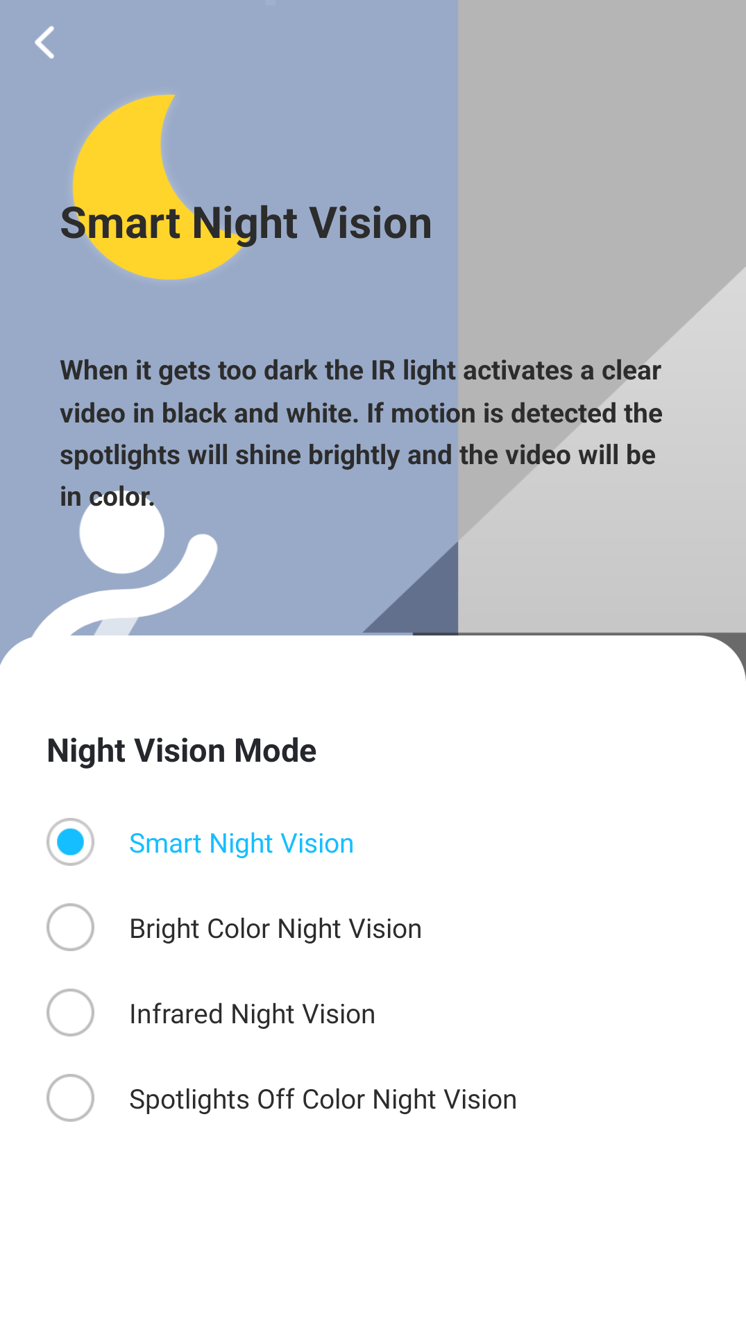 Amcrest night discount vision setting